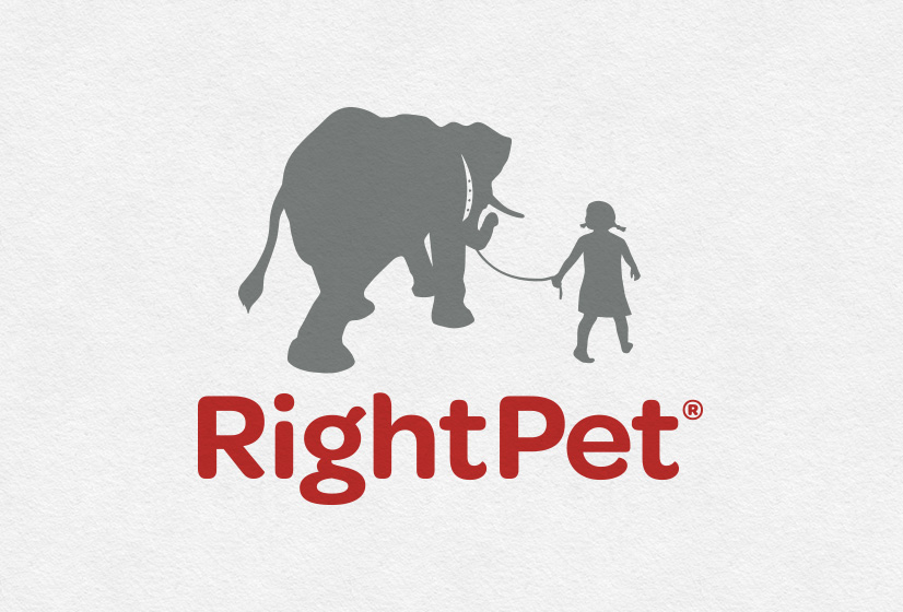 Chloramphenicol For Dogs Price